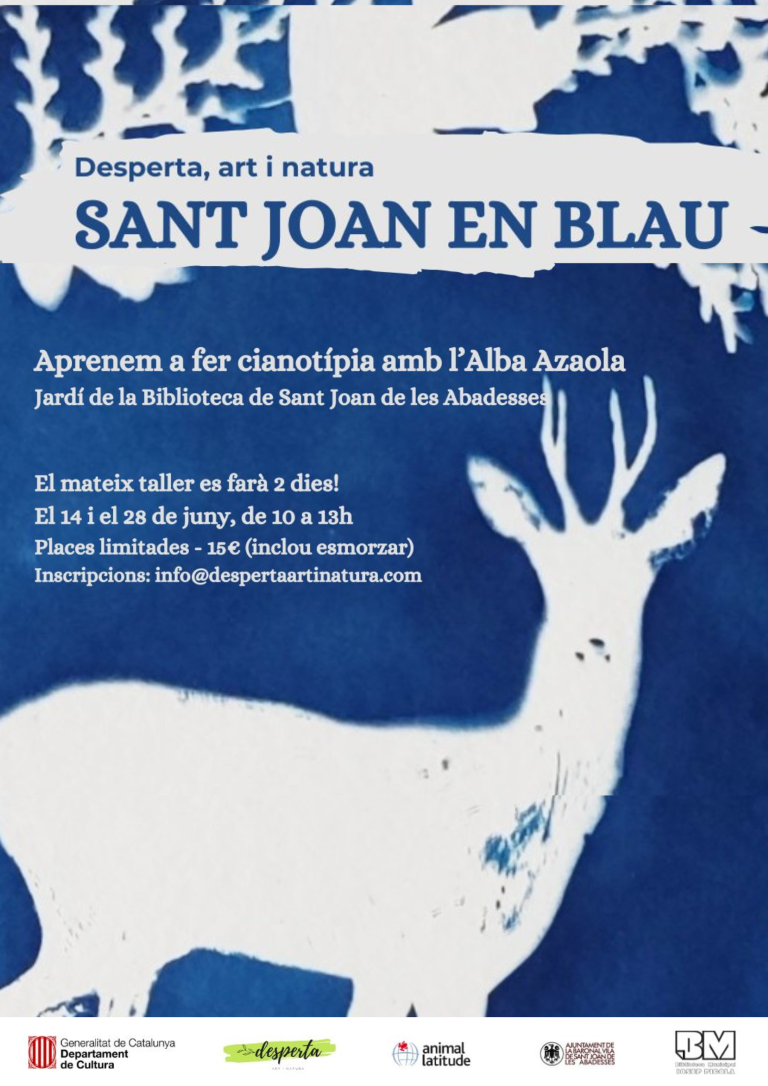 Cartell Desperta Dones i aigua Cianotipia A3 Medium 1