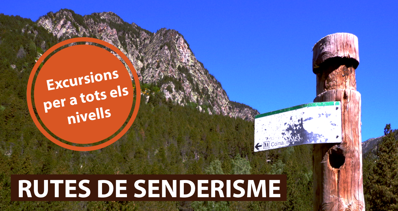 banner-activitats-senderisme