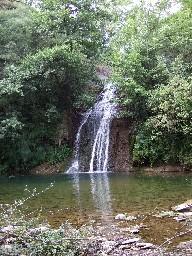 malatosca1_petita malatosca1_petita