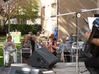 havaneresfestamajoremma2014 2