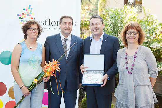 Viles florides web