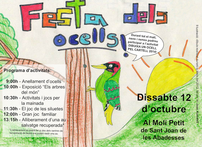 diaocells-2