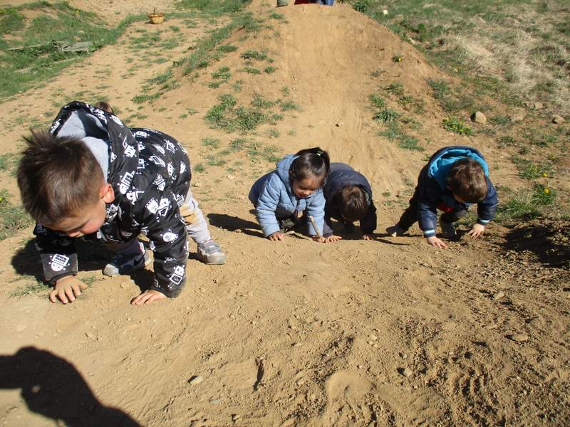 Descobrim nous espais...